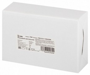 Светильник на штанге Эра  TRM-S5-3-12W4K-BK в Заречном - zarechnyy.ok-mebel.com | фото 8