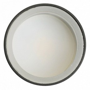 Светильник на штанге Feron ML1001 51371 в Заречном - zarechnyy.ok-mebel.com | фото 4