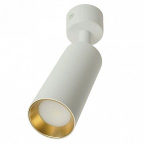 Светильник на штанге Feron ML1011 51380 в Заречном - zarechnyy.ok-mebel.com | фото 9