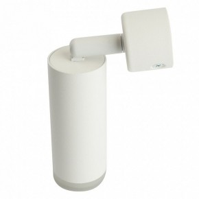 Светильник на штанге Feron ML1021 51390 в Заречном - zarechnyy.ok-mebel.com | фото 3