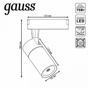 Светильник на штанге Gauss Track Light TR060 в Заречном - zarechnyy.ok-mebel.com | фото 5