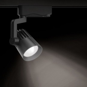 Светильник на штанге Gauss Track Light TR061 в Заречном - zarechnyy.ok-mebel.com | фото 2