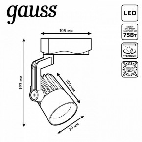 Светильник на штанге Gauss Track Light TR061 в Заречном - zarechnyy.ok-mebel.com | фото 6