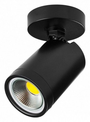 Светильник на штанге Lightstar Rullo 213407 в Заречном - zarechnyy.ok-mebel.com | фото