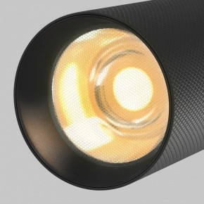 Светильник на штанге Maytoni Artisan TR097-2-12W2.7K-M-BB в Заречном - zarechnyy.ok-mebel.com | фото 9