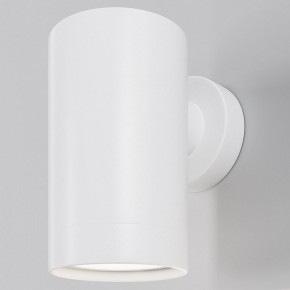 Светильник на штанге Maytoni Clyde O493WL-01W в Заречном - zarechnyy.ok-mebel.com | фото