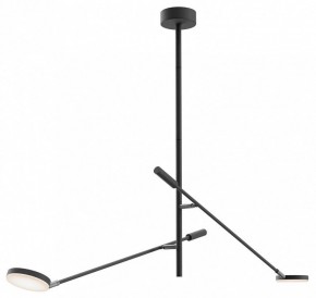 Светильник на штанге Maytoni Fad MOD070CL-L15B3K1 в Заречном - zarechnyy.ok-mebel.com | фото