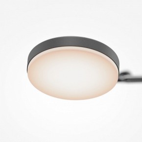 Светильник на штанге Maytoni Fad MOD070CL-L15B3K1 в Заречном - zarechnyy.ok-mebel.com | фото 7