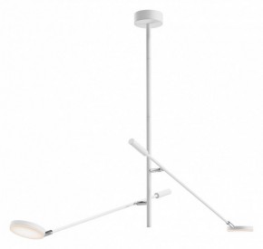 Светильник на штанге Maytoni Fad MOD070CL-L15W3K1 в Заречном - zarechnyy.ok-mebel.com | фото