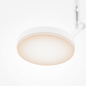Светильник на штанге Maytoni Fad MOD070CL-L8W3K в Заречном - zarechnyy.ok-mebel.com | фото 4