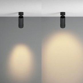 Светильник на штанге Maytoni Focus Zoom C055CL-L12W2.7K-Z-B в Заречном - zarechnyy.ok-mebel.com | фото 3
