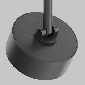 Светильник на штанге Maytoni Lens TR217-2-15W4K-B в Заречном - zarechnyy.ok-mebel.com | фото 9
