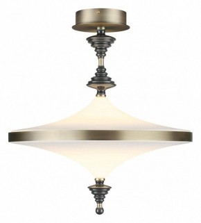 Светильник на штанге Odeon Light Ula 5404/43CL в Заречном - zarechnyy.ok-mebel.com | фото 2