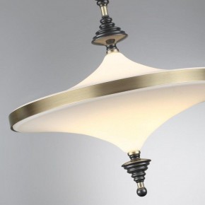 Светильник на штанге Odeon Light Ula 5404/43CL в Заречном - zarechnyy.ok-mebel.com | фото 6