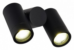 Светильник на штанге ST-Luce Ecollo SL9011.402.02 в Заречном - zarechnyy.ok-mebel.com | фото 3