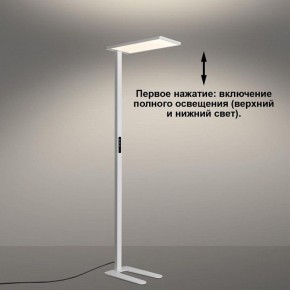 Торшер Novotech STUDI 359545 в Заречном - zarechnyy.ok-mebel.com | фото 5