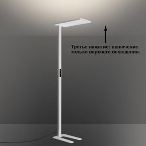 Торшер Novotech STUDI 359545 в Заречном - zarechnyy.ok-mebel.com | фото 6