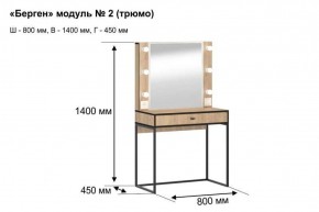 Трюмо "Берген 2" в Заречном - zarechnyy.ok-mebel.com | фото 5