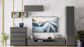 Тумба под ТВ Сибити в Заречном - zarechnyy.ok-mebel.com | фото 3