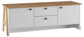 Тумба под ТВ Теодора в Заречном - zarechnyy.ok-mebel.com | фото