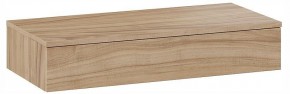 Тумбочка навесная ТД-102.08.02 в Заречном - zarechnyy.ok-mebel.com | фото 3