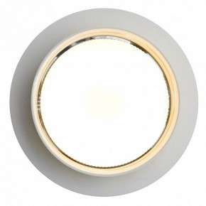 Встраиваемый светильник Feron DL502 51089 в Заречном - zarechnyy.ok-mebel.com | фото 5