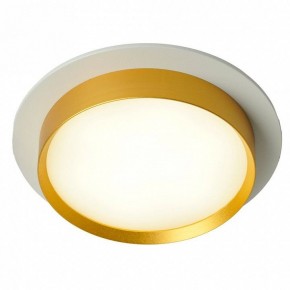 Встраиваемый светильник Feron DL507 51354 в Заречном - zarechnyy.ok-mebel.com | фото 3