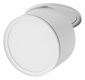 Встраиваемый светильник Lightstar Acuto 215856 в Заречном - zarechnyy.ok-mebel.com | фото