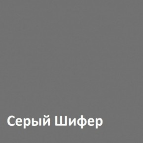 Юнона Шкаф торцевой 13.221 в Заречном - zarechnyy.ok-mebel.com | фото 2